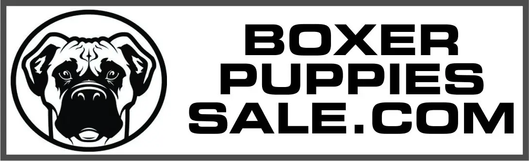 Boxer Puppies Sale
